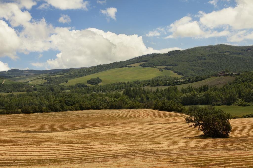 Agriturismo Piettorri Казоле-д'Эльса Номер фото